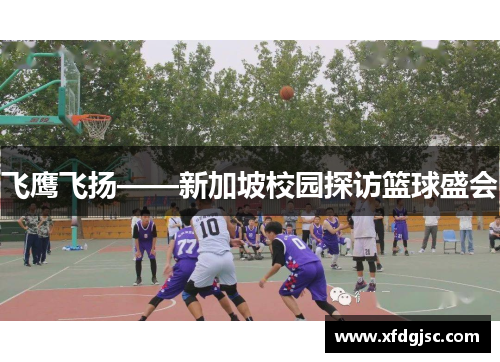 飞鹰飞扬——新加坡校园探访篮球盛会